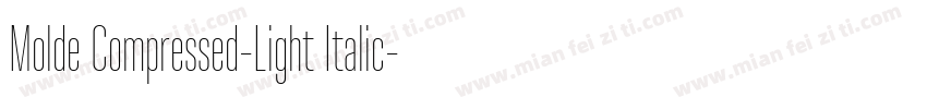 Molde Compressed-Light Italic字体转换